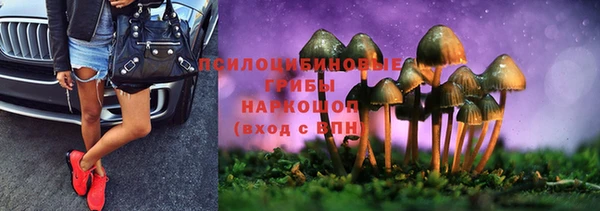 PSILOCYBIN Алексин