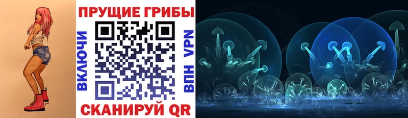 ОМГ ОМГ вход  Ардатов  Псилоцибиновые грибы Magic Shrooms 